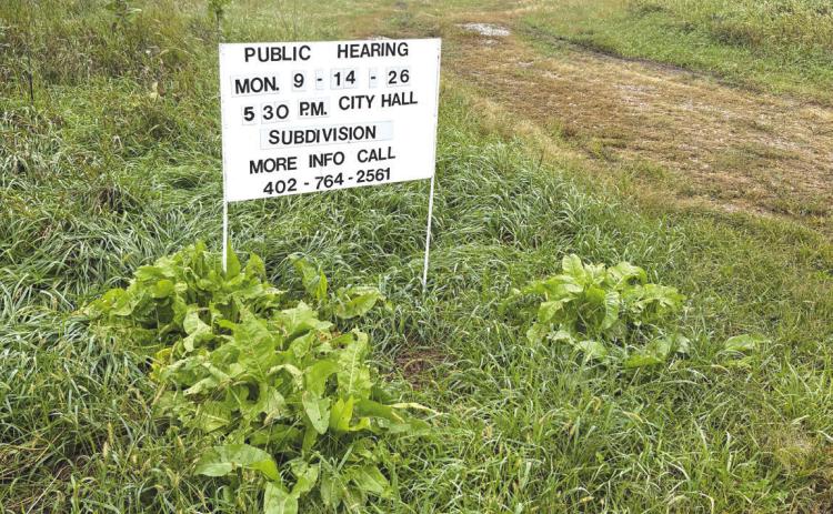 Above: This area near 125th Blvd and M Road has recently been approved for 6 lots for a subdivision on the outskirts of Stromsburg. PCN photo by Beth Sparrow.