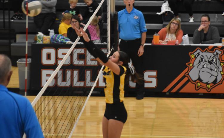 Huskies senior Kendall Nickolite (4) sets up for the block against the Osceola attack in Tuesday’s triangular at Osceola High School. PCN photo by Beth Sparrow