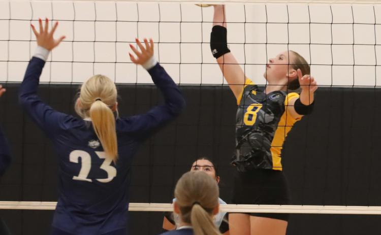 Shelby-RC freshman Hayden Hopwood (8) had a productive week as she finished with 22 kills, 18 digs, four aces and two blocks. PCN file photo by Ken Kush.