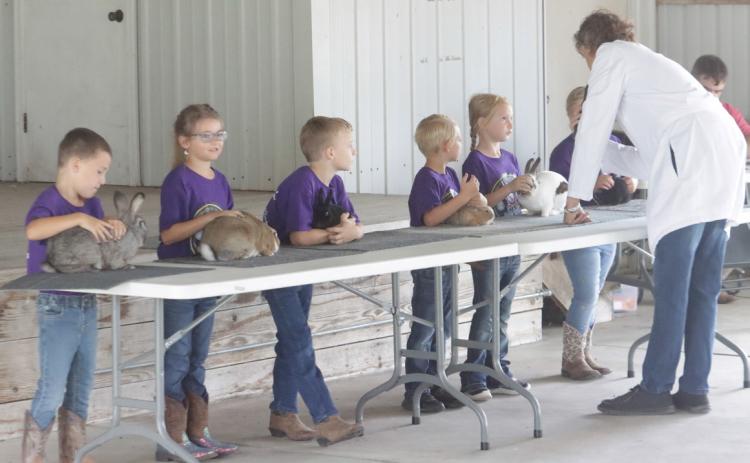 4H Youth Competing at the 2025 Polk County Fair