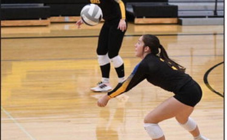 Kaleigh Ruth bumps while Ava Larmon is ready for the next hit. PCN file photo by Rick Holtz.