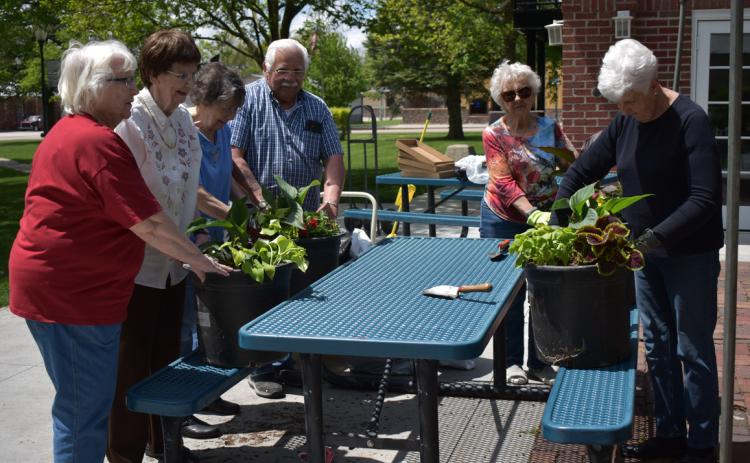 Members of the Stromsburg Senior Center were potting plants in the town square on Friday, May 10th. The Senior Center members are the ones responsible for adding these decorative florals to the square each year. PCN photo by Cienna Friesen.