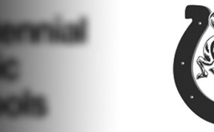 Alt Text for Image