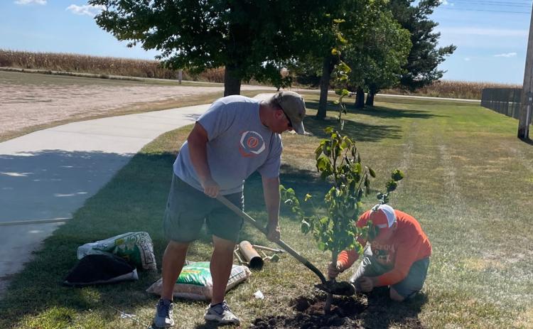 Osceola Receives Free Trees Thanks to Grant
