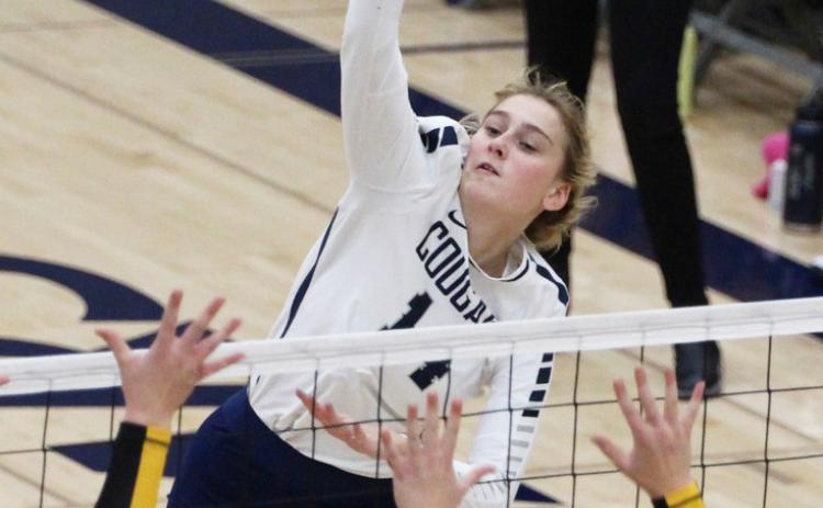 Shyanne Anderson will return next season as one of the main threats of the Cross County attack. PCN file photo