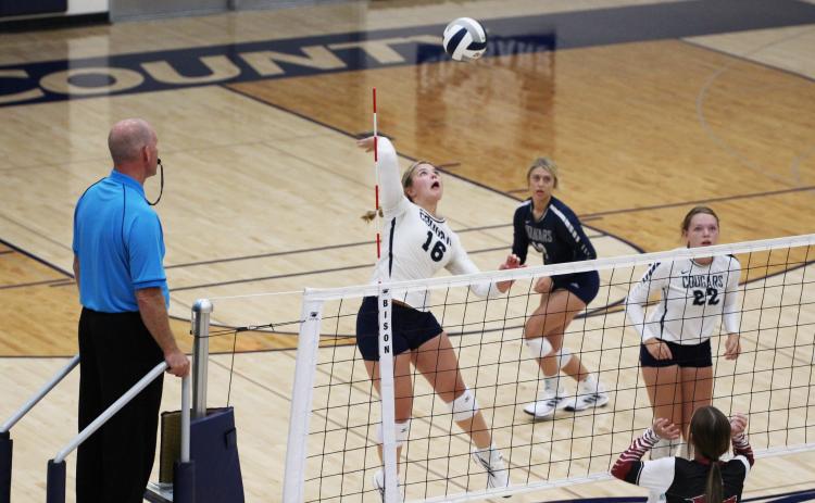 Senior Jayden Fellows attacks the ball to help the Cougars on their way to a straight sets win. PCN photo by Travis Lane