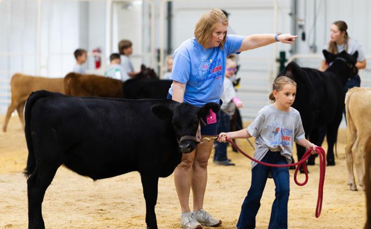 Tanya Crawford helps a girl get her cow to where it needs to go at the York County Fair. Tanya is an extension educator with York and Polk Counties. Photo provided.