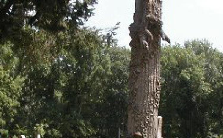 J. STERLING MORTON: FATHER OF ARBOR DAY