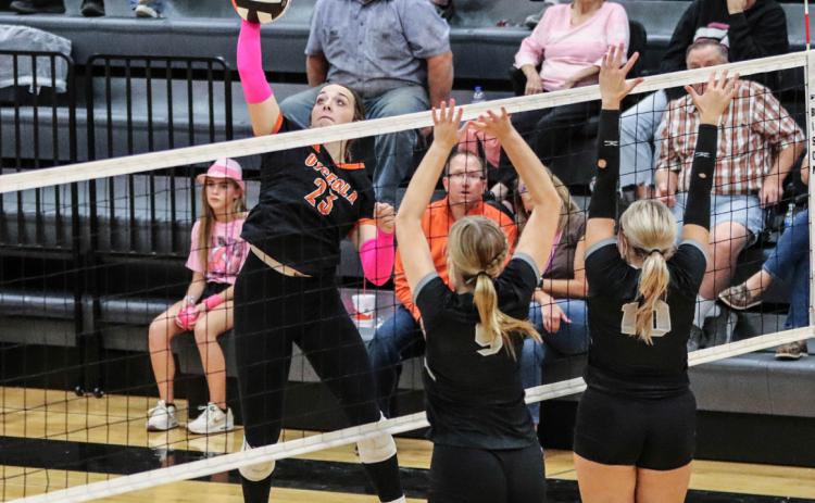 Osceola junior Bella Recker gives the Osceola Bulldogs several options at the net. As a sophomore she was second on team in kills with 200. PCN file photo.