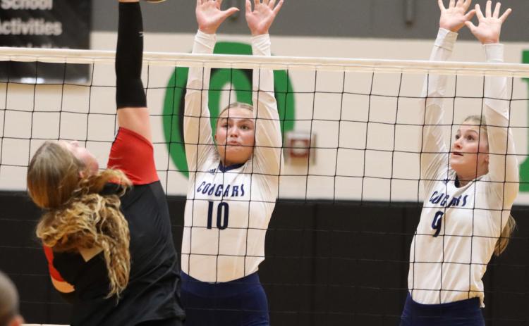 Lady Cougars End Season at Subs