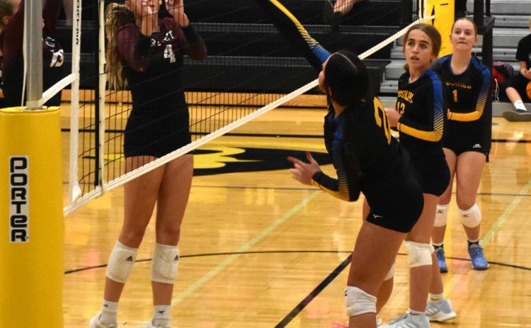 Brooklyn Baker goes up for the kill against Arlington. PCN photo by Beth Sparrow.