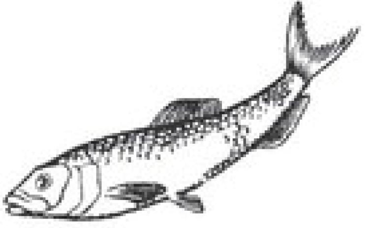 Free Fishing and Park Entry Day is May 16