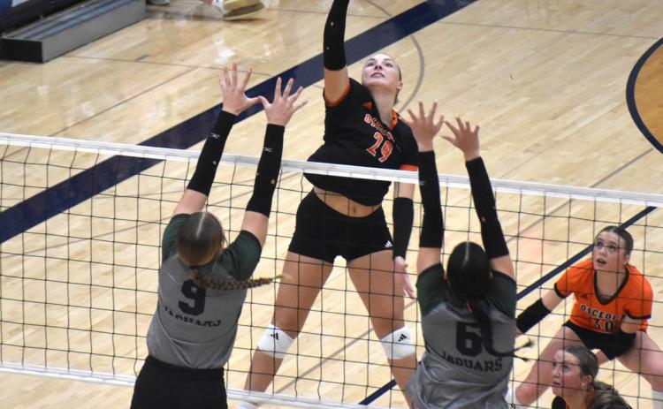 Bulldogs lose in four sets, end season at 22-9