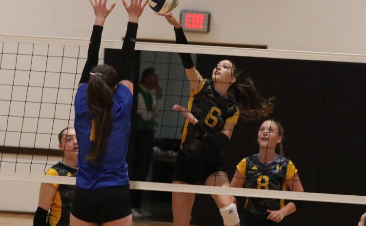 Top-Leah Whitmore (6) on the attack against the Knights defense in the second semifinal game. Below-Senior Kendall Nickolite with one of her five ace serves in Monday’s semifinal at the York City Auditorium. PCN photo by Ken Kush.
