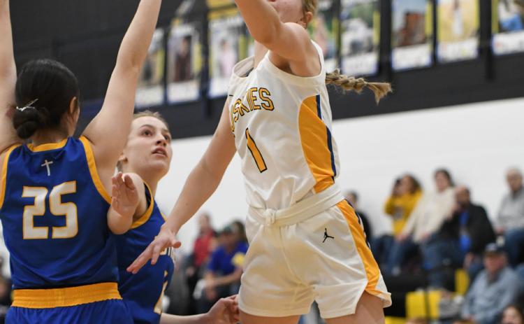 Taya Pinneo floats a shot during the first quarter on Saturday. She would go onto to score 10 points for the Huskies in a 39-37 win over the Knights. PCN photo by Rick Holtz