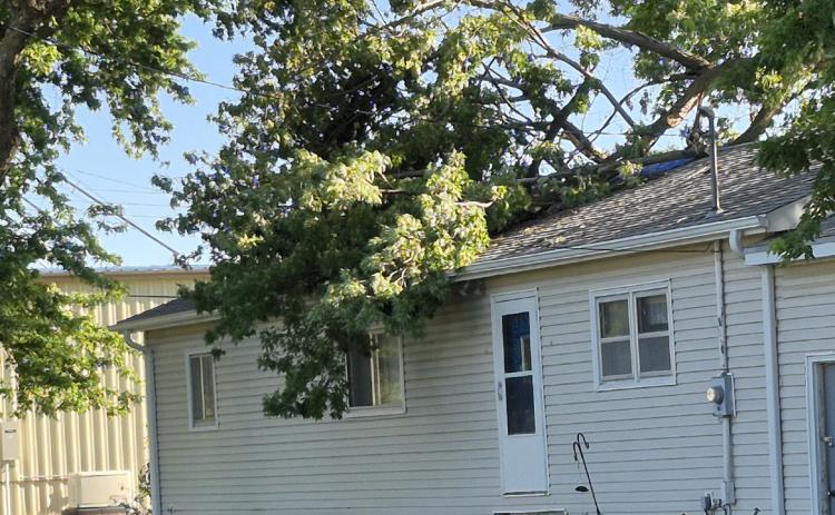 Early last Thursday morning, thunderstorms rolled through the Benedict area causing considerable tree damage and damage to homes. PCN photos by Ken Kush.