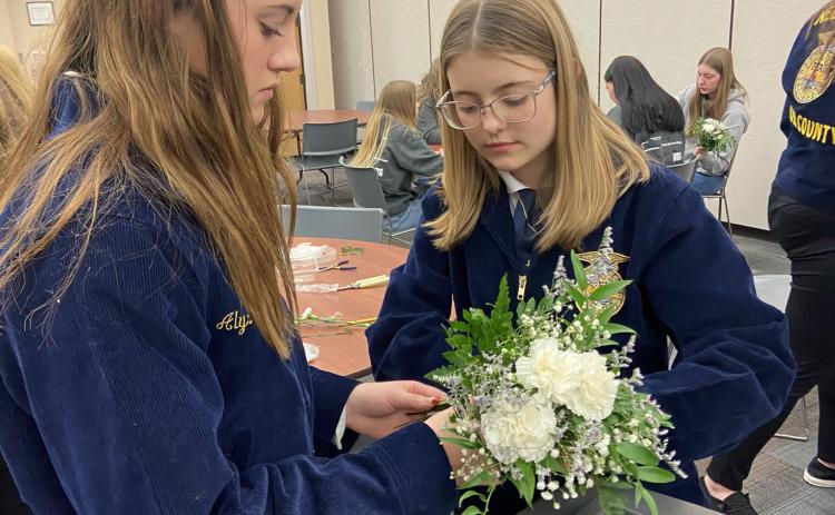 Alyssa Renken and Ava Cramer work on their Floriculture display. Cross County Schools photo