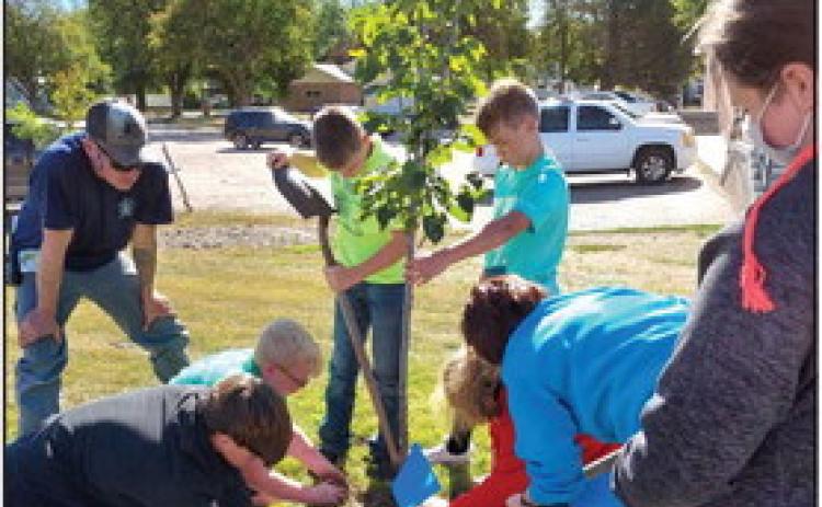 The High Plains 5th and 6th grade school children helped plant the trees at the swimming pool and Clarks Villa. Photo provided