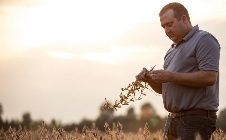 The Nebraska Soybean Board (NSB) is looking for soybean farmers interested in filling one of Nebraska’s four director positions with the United Soybean Board (USB), for a three-year term. Photo provided