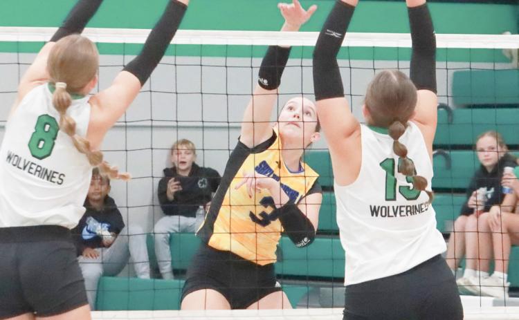 SRC senior Kaleigh Ruth had 27 kills last week bumping her season total to 151. Here she goes for the kill against Wilber Clatonia last week. PCN file photo by Ken Kush.