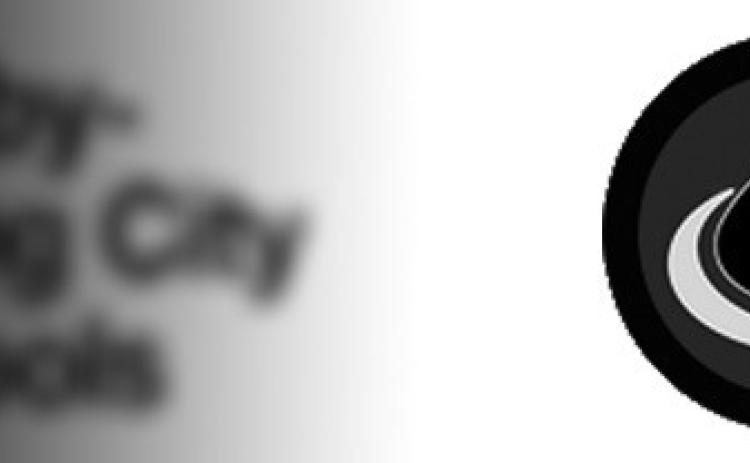 Alt Text for Image