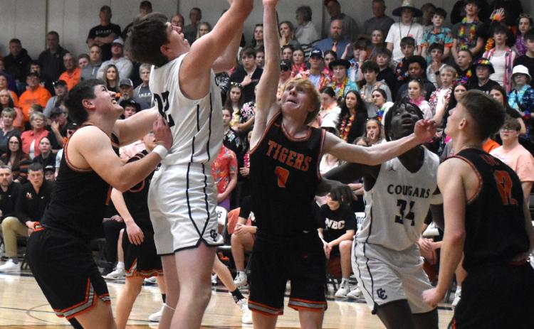 Cougars Earn First Trip to State in Over 30 Years