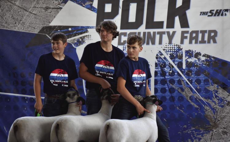 Three 4-H boys showing goats at the Polk County Fair in 2023. PCN file photo by Beth Sparrow.