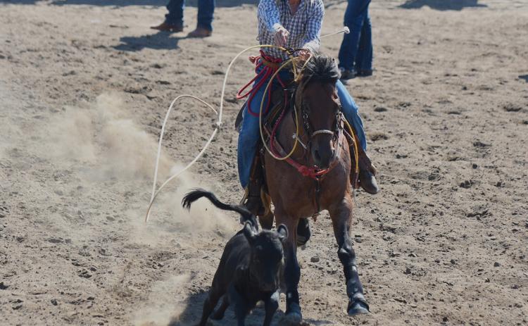 Not just a football quarterback and wrestler, Logan Lindsley competed in the high school rodeo at the state fair. Photo by Steve Moseley.